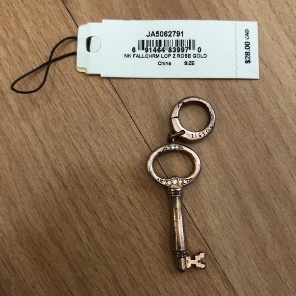 Fossil RoseGold Charm Starter Necklace w Key Charm - Picture 4 of 5